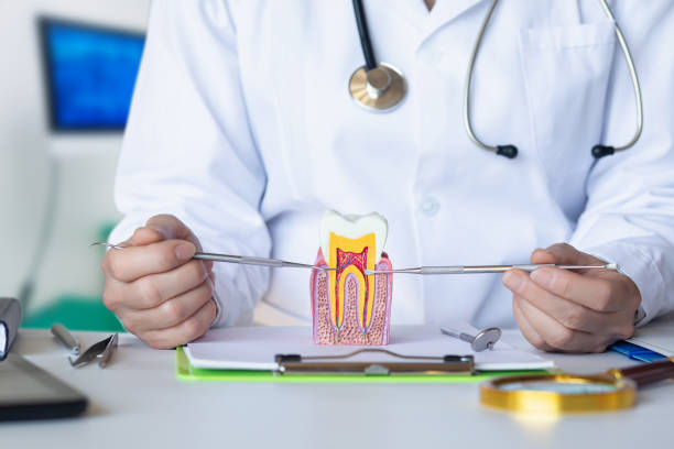 Best Emergency Tooth Extraction in Red Oak, TX